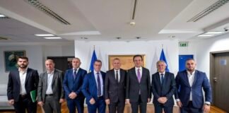 Zgjedhjet në Serbi/ Sa deputetë shqiptarë pritet të hyjnë në parlamentin serb