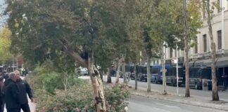 Sot protestë dhe seancë plenare, policia vendos barriera në rrugët përreth Parlamentit