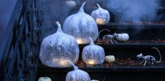Tre ide për kunguj Halloween-i pa shumë mundim dhe pa gdhendje
