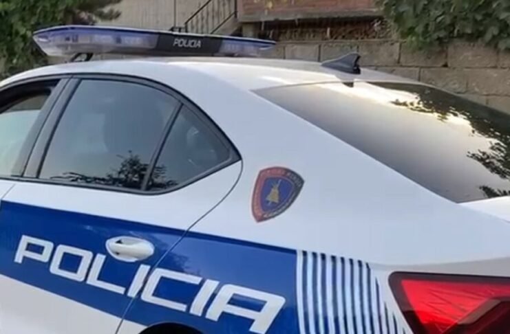 Arrestohet edukatorja, dyshohet se dhunoi një vogëlush në kopsht